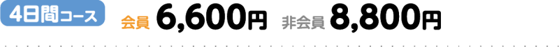 料金